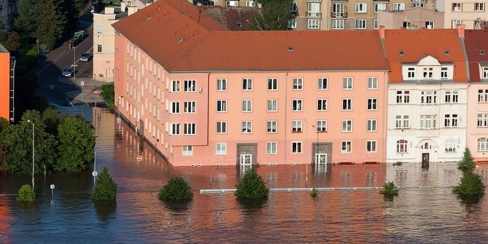 Jak wyjść z kryzysu klimatycznego?