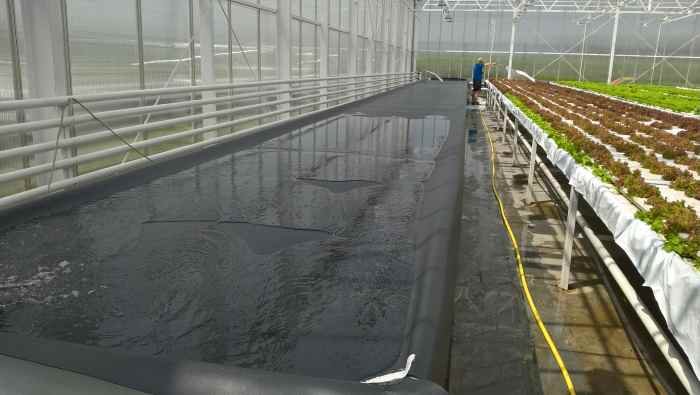 primatess pvc agro